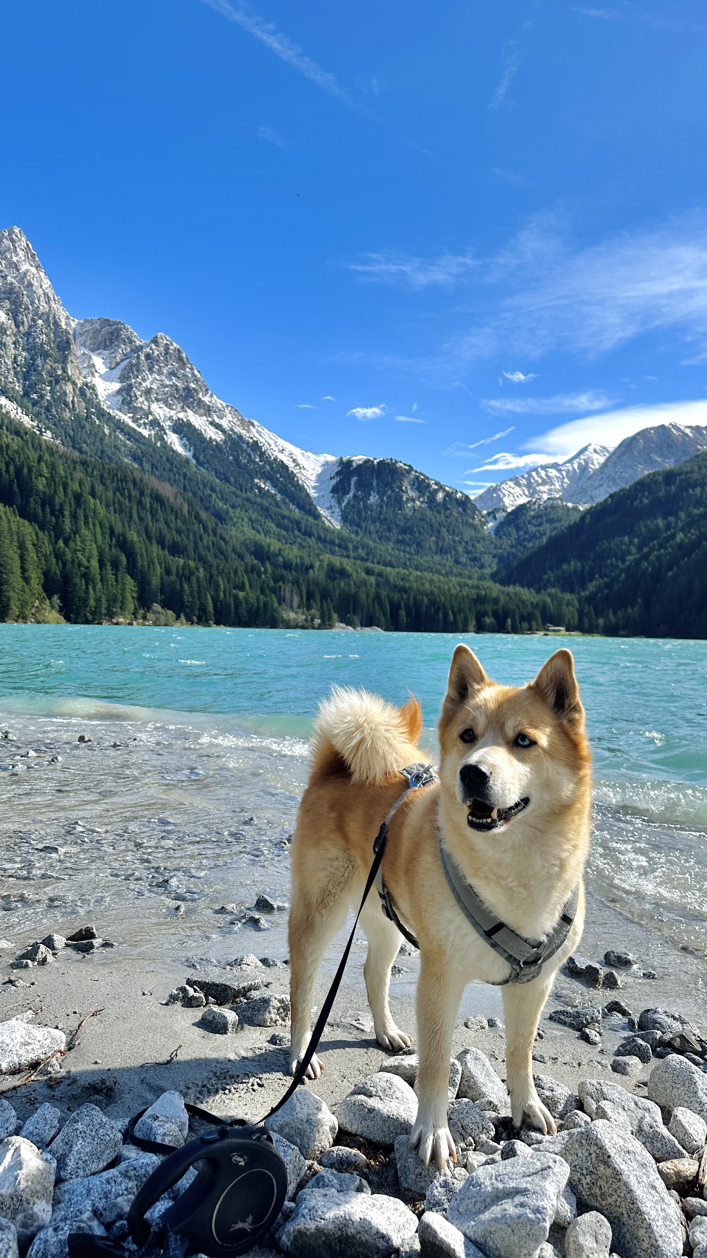 Forschung & Entwicklung